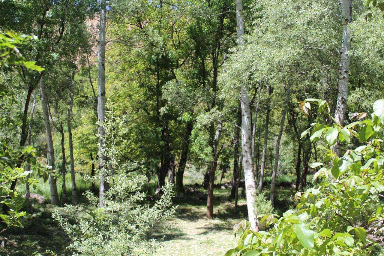 Auberge Toubkal Amsouzart Aitst Idar Tizgui Εξωτερικό φωτογραφία