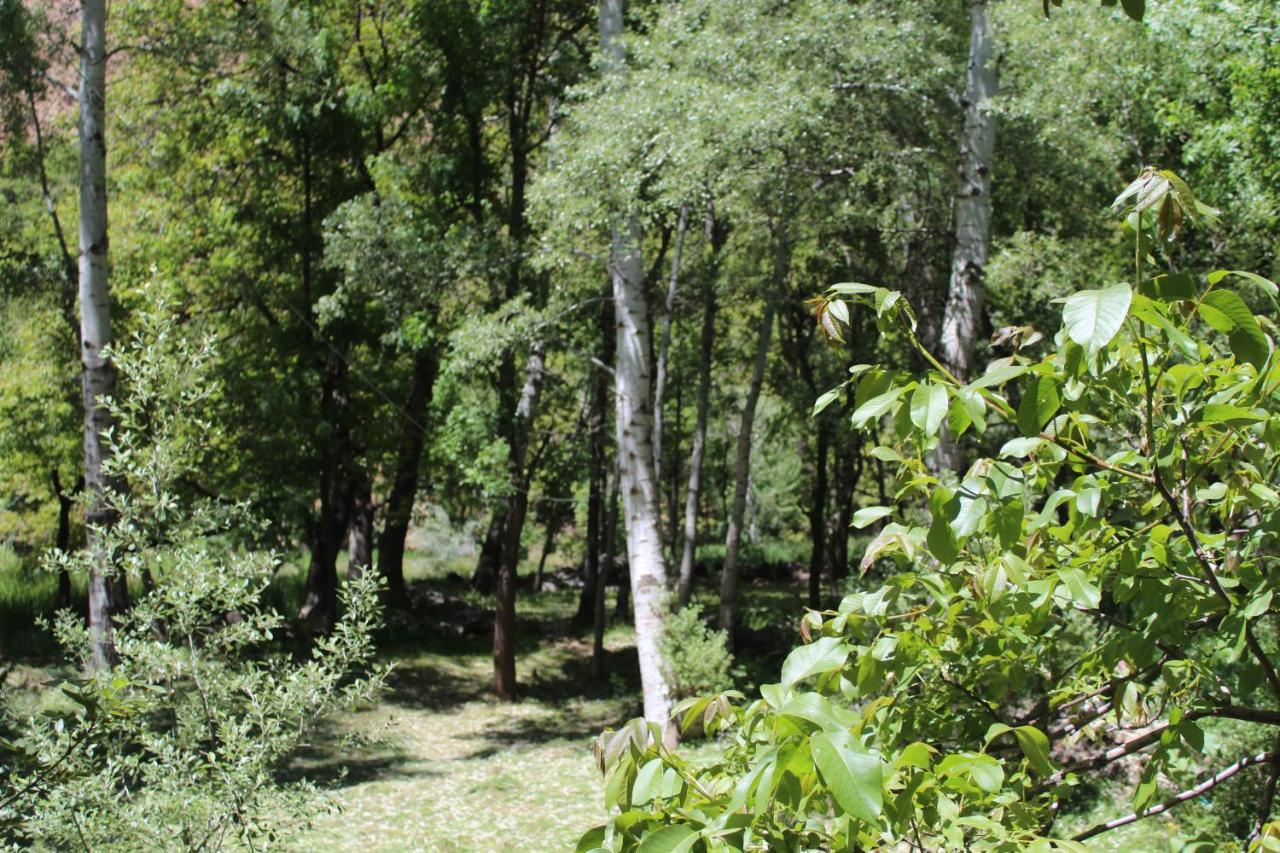 Auberge Toubkal Amsouzart Aitst Idar Tizgui Εξωτερικό φωτογραφία